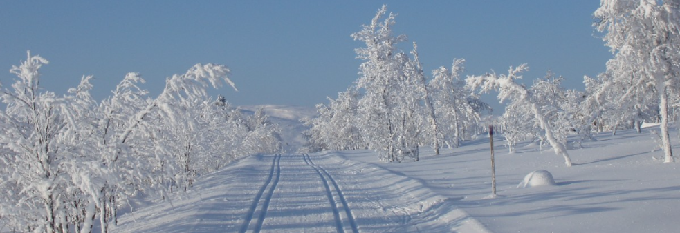 Ski på Topp Rana 2020/2021
